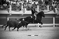 EJ9C9457_Pascal_Lahure