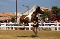 EJ9C8896_Pascal_Lahure