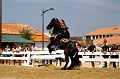 EJ9C8928_Pascal_Lahure
