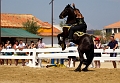 EJ9C8929_Pascal_Lahure