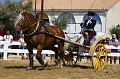 EJ9C9019_Pascal_Lahure