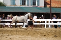 EJ9C9097_Pascal_Lahure