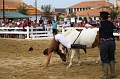 EJ9C9292_Pascal_Lahure