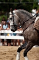 _42I8509_Pascal_Lahure