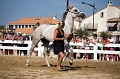 _42I8918_Pascal_Lahure