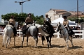 _42I8533_Pascal_Lahure