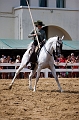 _42I8726_Pascal_Lahure