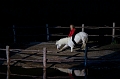 EJ9C0037_Pascal_Lahure