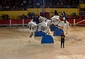 EJ9C8689_Pascal_Lahure