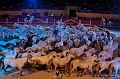 _42I8615_Pascal_Lahure