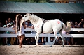 _42I2824_Pascal_Lahure