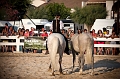 _42I2914_Pascal_Lahure
