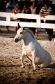 _42I2921_Pascal_Lahure
