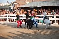 _42I3313_Pascal_Lahure