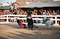 _42I3315_Pascal_Lahure