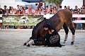 _42I3345_Pascal_Lahure