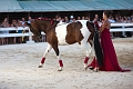_42I3394_Pascal_Lahure