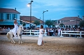 _42I3452_Pascal_Lahure