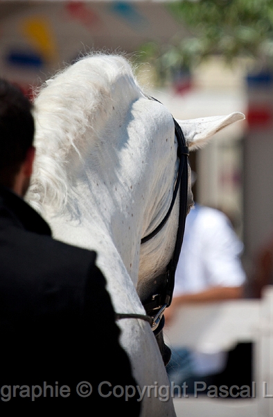_42I2765_Pascal_Lahure.JPG
