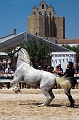 EJ9C7112_Pascal_Lahure