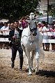 _42I2764_Pascal_Lahure