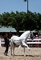 _42I2767_Pascal_Lahure