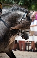 _42I2775_Pascal_Lahure