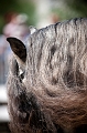 _42I2792_Pascal_Lahure
