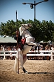 _42I3192_Pascal_Lahure