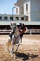 _42I3224_Pascal_Lahure