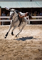 _42I3228_Pascal_Lahure