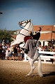 _42I3258_Pascal_Lahure