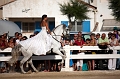 _42I3278_Pascal_Lahure