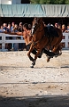 _42I3302_Pascal_Lahure