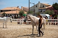 _42I3466_Pascal_Lahure