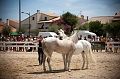 _42I3473_Pascal_Lahure