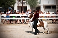 _42I3513_Pascal_Lahure