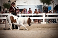_42I3531_Pascal_Lahure