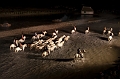 _42I3612_Pascal_Lahure