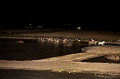 _42I3613_Pascal_Lahure