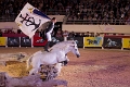 IMG_7448_Pascal_Lahure