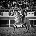 IMG_6383_Pascal_Lahure
