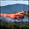 Incendie au Cannet des Maures juillet 2009